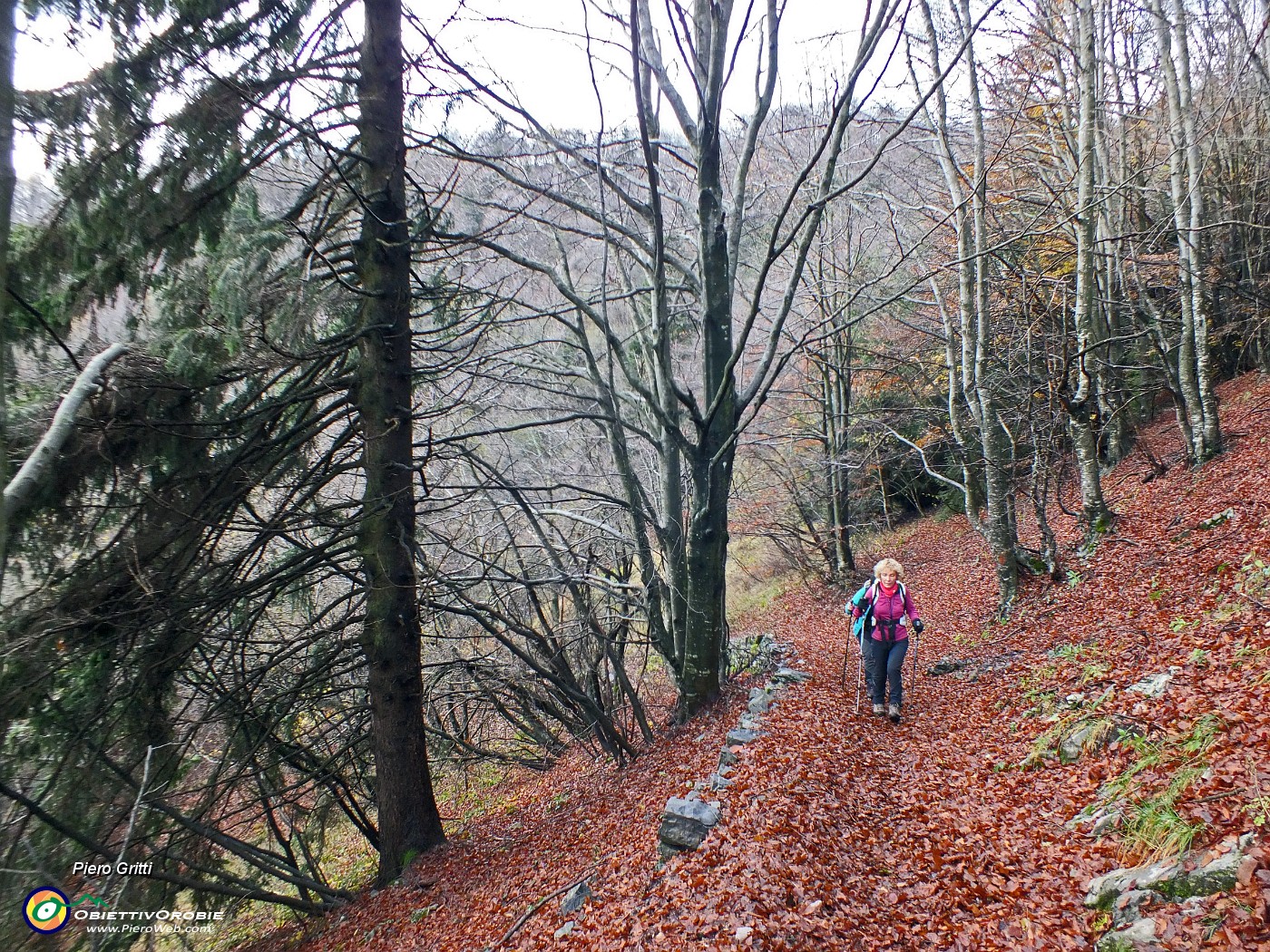 08 Sul sentiero 153 da Capo Foppa al Passo Baciamorti.JPG